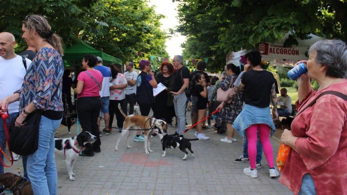 Habrá concurso de ‘disfraces bichunos’, talleres, villancicos, y cuentacuentos, entre otros