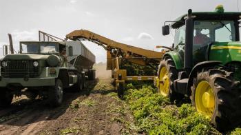 Cada vecino inscrito podrá optar a un terreno de una hectárea de extensión