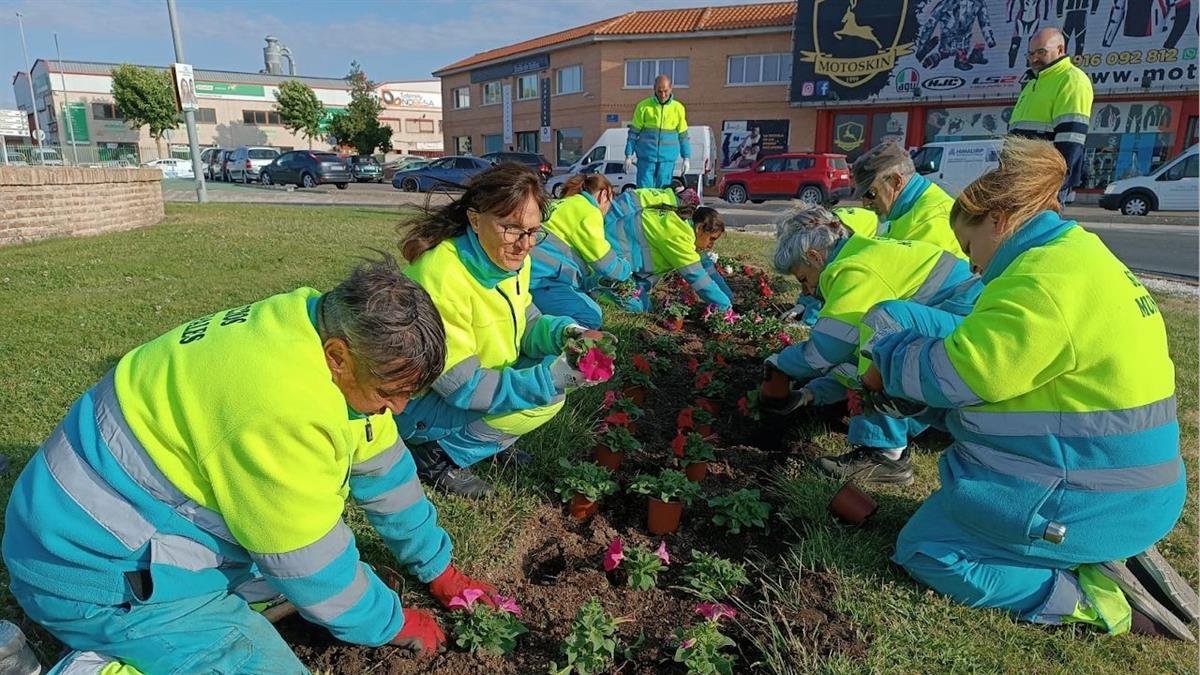 El consistorio podrá contratar a 10 jóvenes menores de 30 años como jardineros