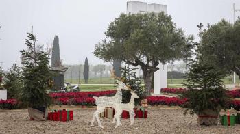 El Ayuntamiento de Madrid pone a punto para la Navidad esta zona emblemática de la ciudad