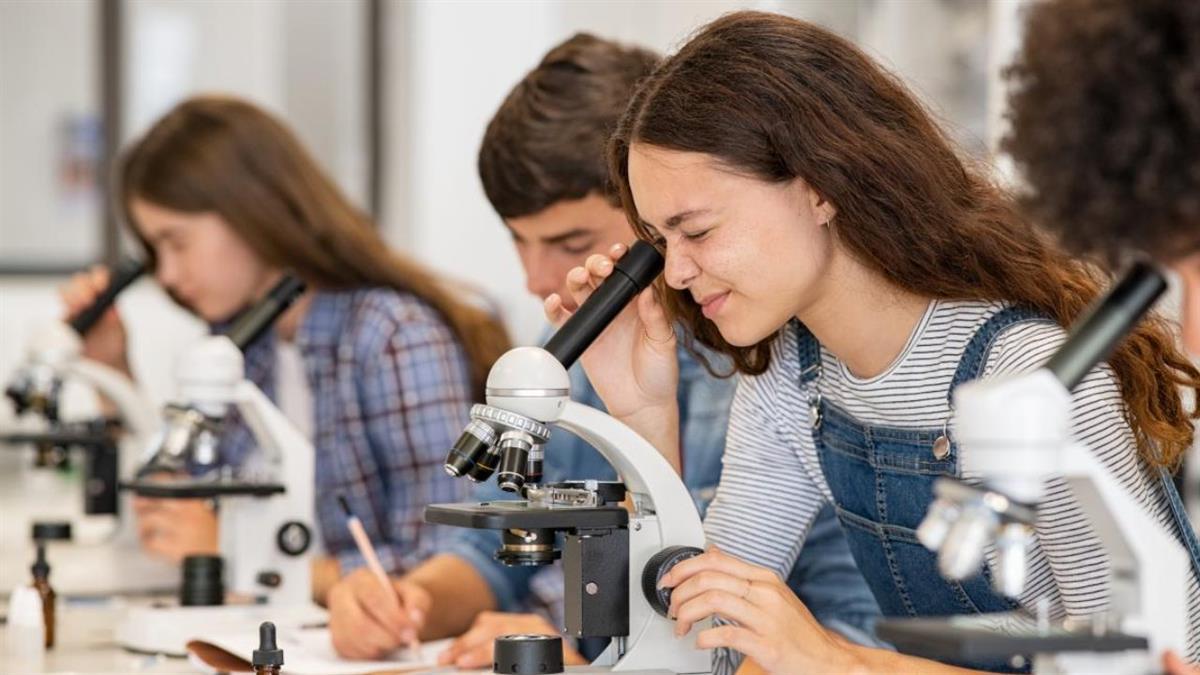 Esta iniciativa ya acerca el estudio de la Ciencia, Tecnología, Ingeniería y Matemáticas a más de 35.000 alumnos