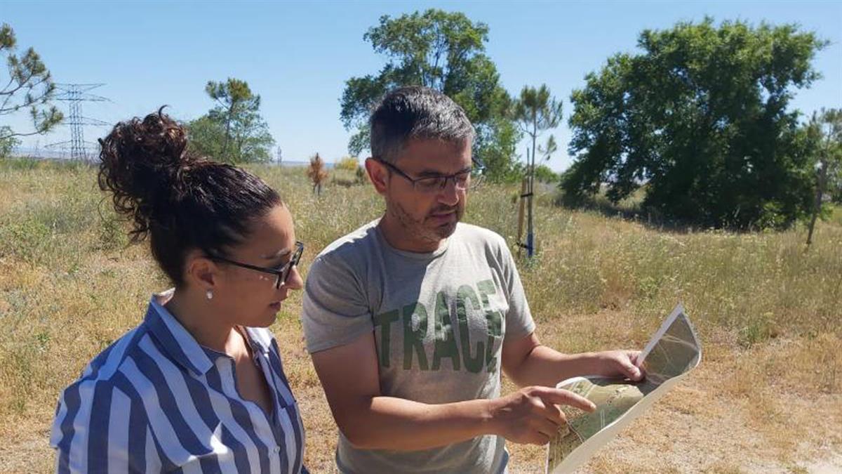 Unos 185.000 metros cuadrados y un potente sumidero de carbono gracias a los 22.000 árboles que se plantarán