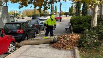 Los profesionales utilizan barredoras, sopladoras y contenedores especiales