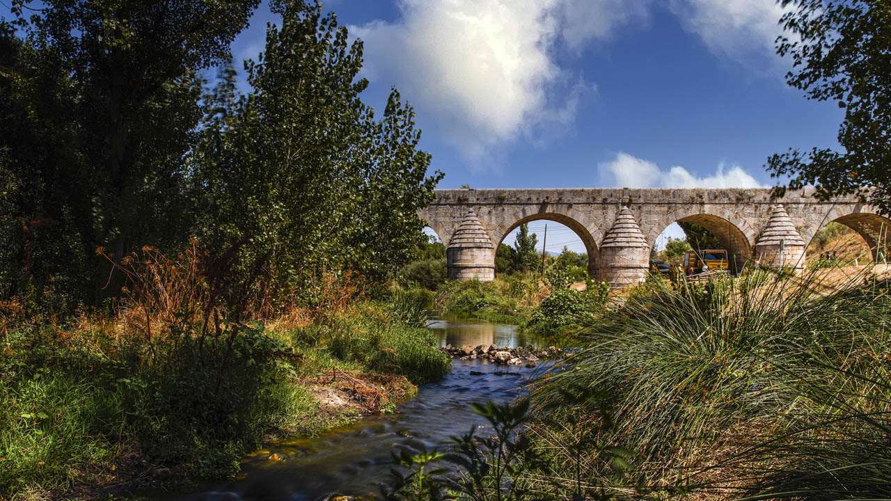 El municipio está incluido en el programa Tree Cities of the World