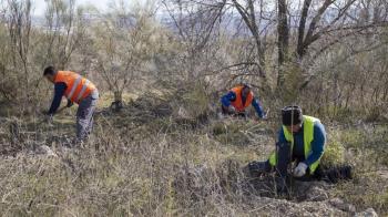 El objetivo es incrementar la biodiversidad y reducir el riesgo de incendios