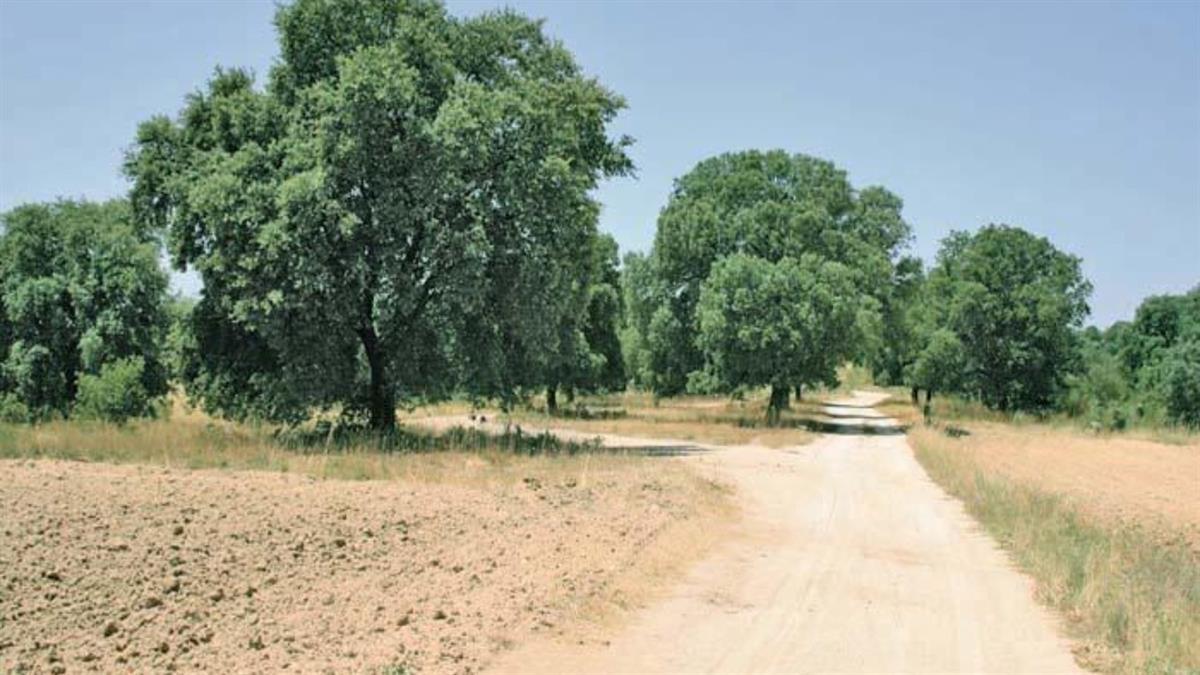 Es el primer recorrido de varios que se balizarán y señalizarán 