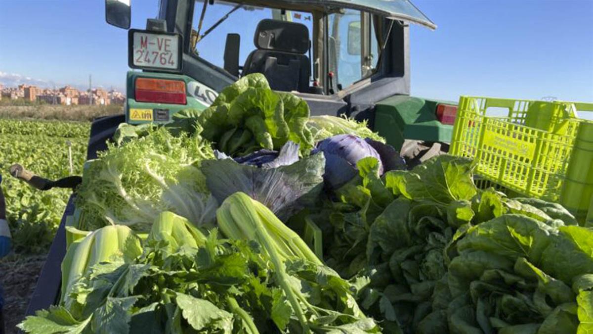 Profesionales de la hostelería elaborarán ricas recetas con productos locales