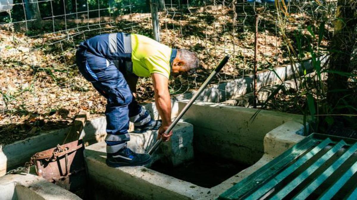 Para la consecución de estas labores se utilizan productos respetuosos con el Medio Ambiente,