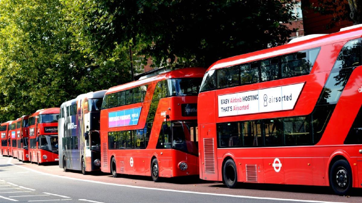 Los buses saldrán desde el recinto ferial y estarán disponibles a partir de las 03:45 h