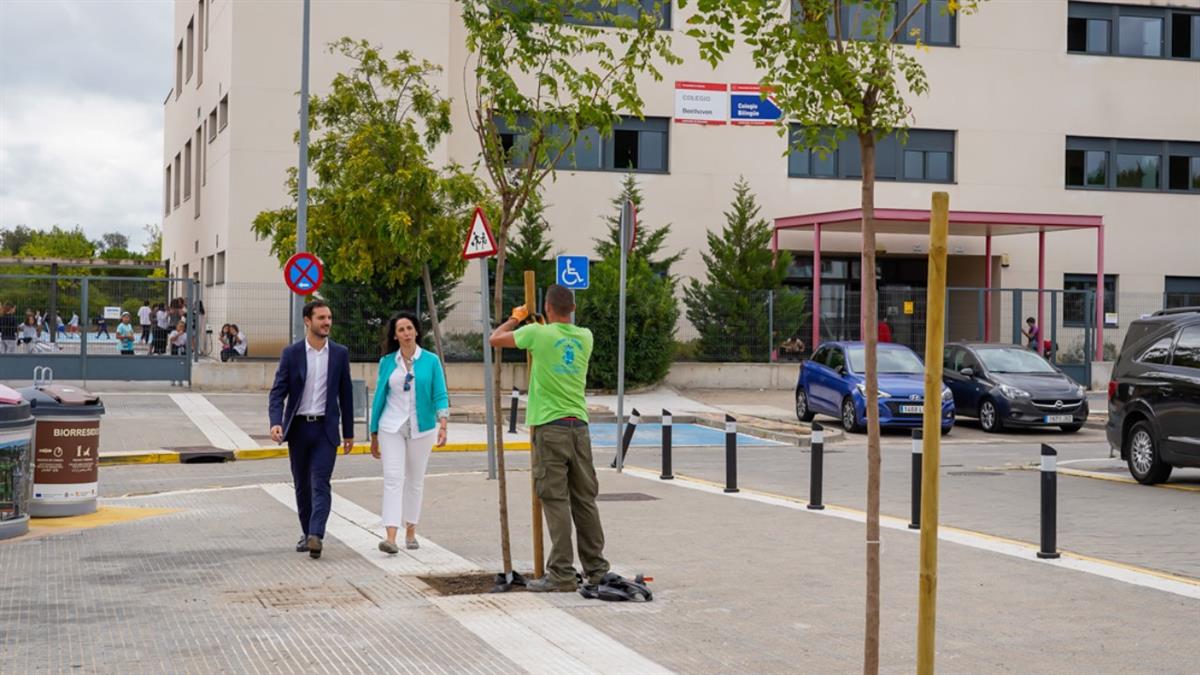 Se están instalando nuevos árboles en las entradas de los colegios 