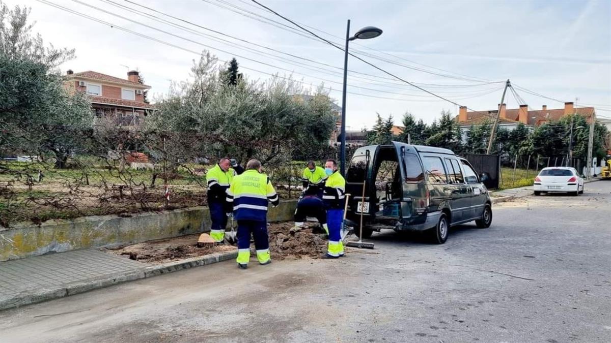 Sigue trabajando en la remodelación del acerado
