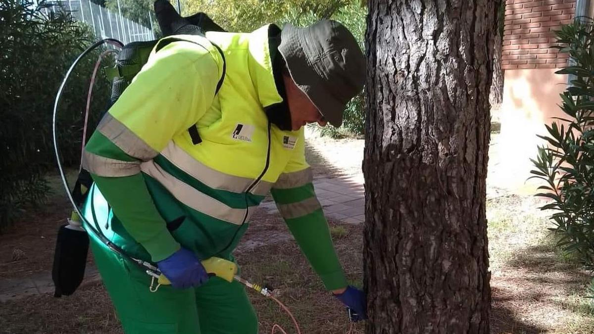 Es un tratamiento terapéutico para plantas leñosas para prevenir plagas