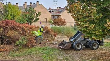 Los trabajos van a realizarse desde la concejalía de Parques y Jardines