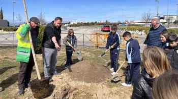 El Ayuntamiento de Paracuellos comienza una plantación de árboles y su sistema de riego en diferentes zonas