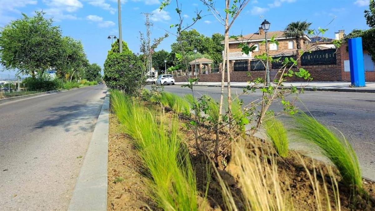 Han finalizado los trabajos de plantación en uno de los parterres de la Avenida Príncipe de Asturias
