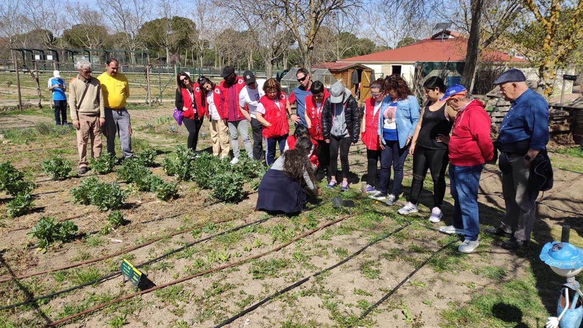 Estas instalaciones agrícolas persiguen varios fines sociales