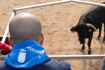 Festejos taurinos, fuegos artificiales y el Día del Niño se celebran este fin de semana